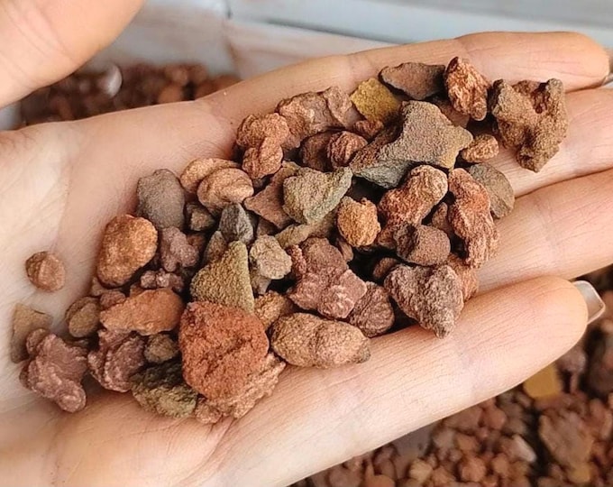 Natural Oklahoma Rose Rock Prospector Mix - Sandstone Concretion Pebbles with Micro Barite Mineral Formations
