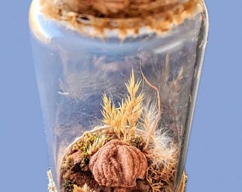 Oklahoma in a Bottle - featuring the barite rose rock