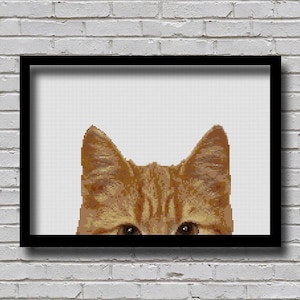 Pode incluir: Arte em ponto cruz emoldurada com o rosto de um gato ruivo. As orelhas e os olhos do gato são visíveis, com um fundo branco. A obra de arte está em uma moldura preta e pendurada em uma parede de tijolos brancos.