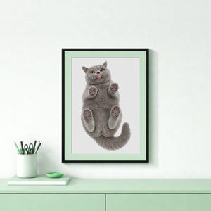 以下が含まれることがあります： 下から見た灰色のブリティッシュショートヘアの猫が描かれた額入りアートプリント。お腹、肉球、そして少し出たピンク色の舌が見えます。猫は細い黒いフレームの中、白い背景の中央に配置されています。