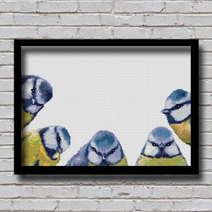 Op de afbeelding: Vijf blauwe mezen met gele borst kijken naar de kijker. De vogels zijn in een halve cirkel gerangschikt, met de bovenste vogel in het midden en de andere vier vogels aan weerszijden. De achtergrond is wit.