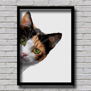 Puede incluir: Primer plano de un gato calico con ojos verdes asomándose por una esquina. El pelaje del gato es blanco, negro y naranja.