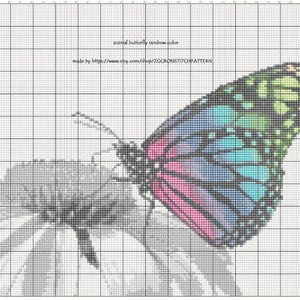 Cross Stitch Pattern Butterfly Rainbow Color Animal Pattern Nature Inspired Animal Embroidery Modern Decor Digital Pattern image 3