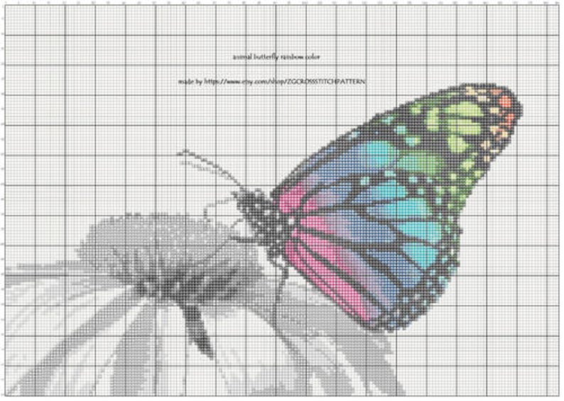 Cross Stitch Pattern Butterfly Rainbow Color Animal Pattern Nature Inspired Animal Embroidery Modern Decor Digital Pattern image 3