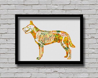 Cross Stitch Pattern Animal Anatomy Dog Skeleton Animal Silhouette Printable Digital Pattern Watercolor Effect Skeletal Anatomy Standing Dog