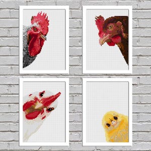 May include: Four framed images of different chickens. The first image shows a rooster with a red comb and wattle. The second image shows a brown hen with a red comb and wattle. The third image shows a white hen with a red comb and wattle. The fourth image shows a yellow chick with a yellow beak.