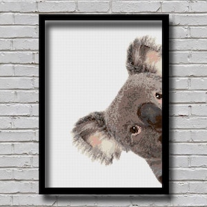 May include: A close-up of a koala's face peeking out from the right side of a black framed picture. The koala has gray fur and a black nose.