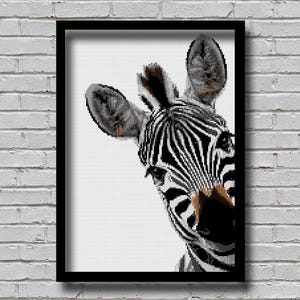 May include: Framed art print showing a close-up of a zebra's head. The zebra's face is in black and white with brown accents on the nose and ears. The zebra is looking towards the viewer. The art is displayed against a white background.