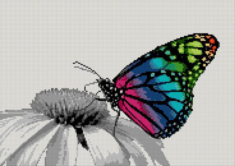 Cross Stitch Pattern Butterfly Rainbow Color Animal Pattern Nature Inspired Animal Embroidery Modern Decor Digital Pattern zdjęcie 2