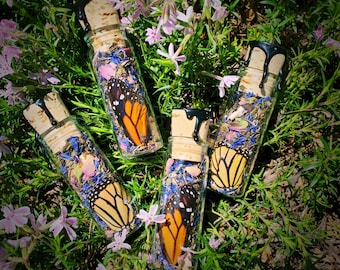 Metamorphosis Spell Jar, Real Butterfly Wing Botanical Curiosity