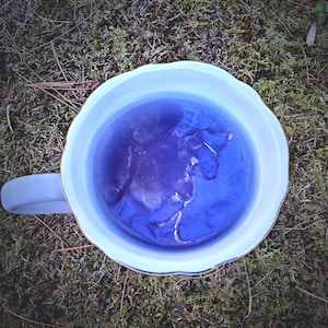 Witch's Insight Tea: Divination Ritual Blend with Mugwort & Butterfly Pea image 1