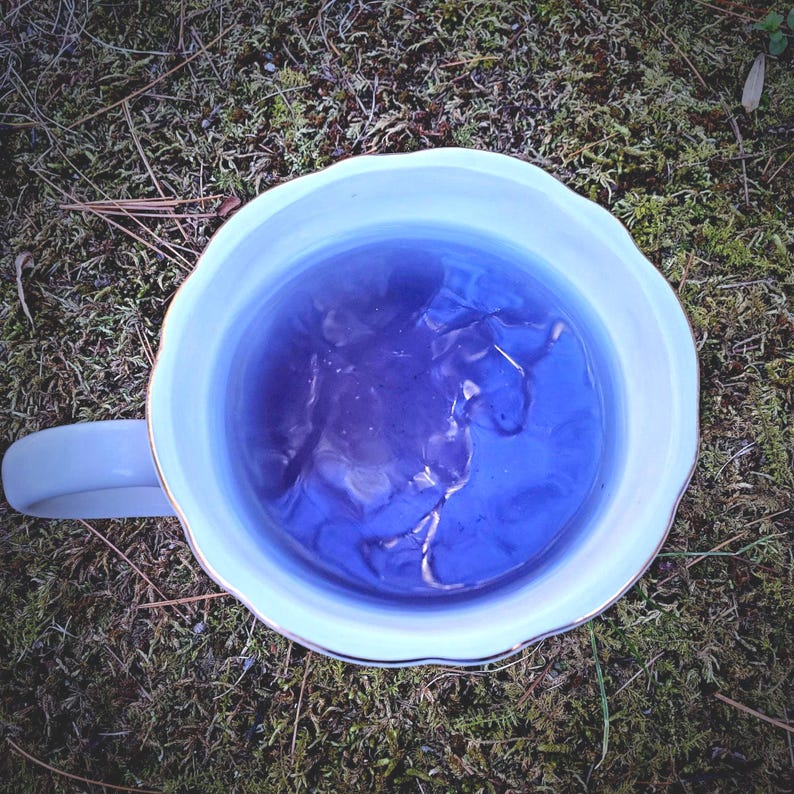 Witch's Insight Tea: Divination Ritual Blend with Mugwort & Butterfly Pea image 1