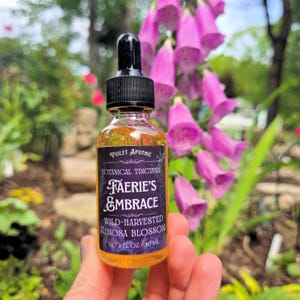 Tintura de flor de mimosa - El abrazo de las hadas ~ Poción resplandeciente para la magia, la alegría y las bebidas burbujeantes inspiradas en las hadas