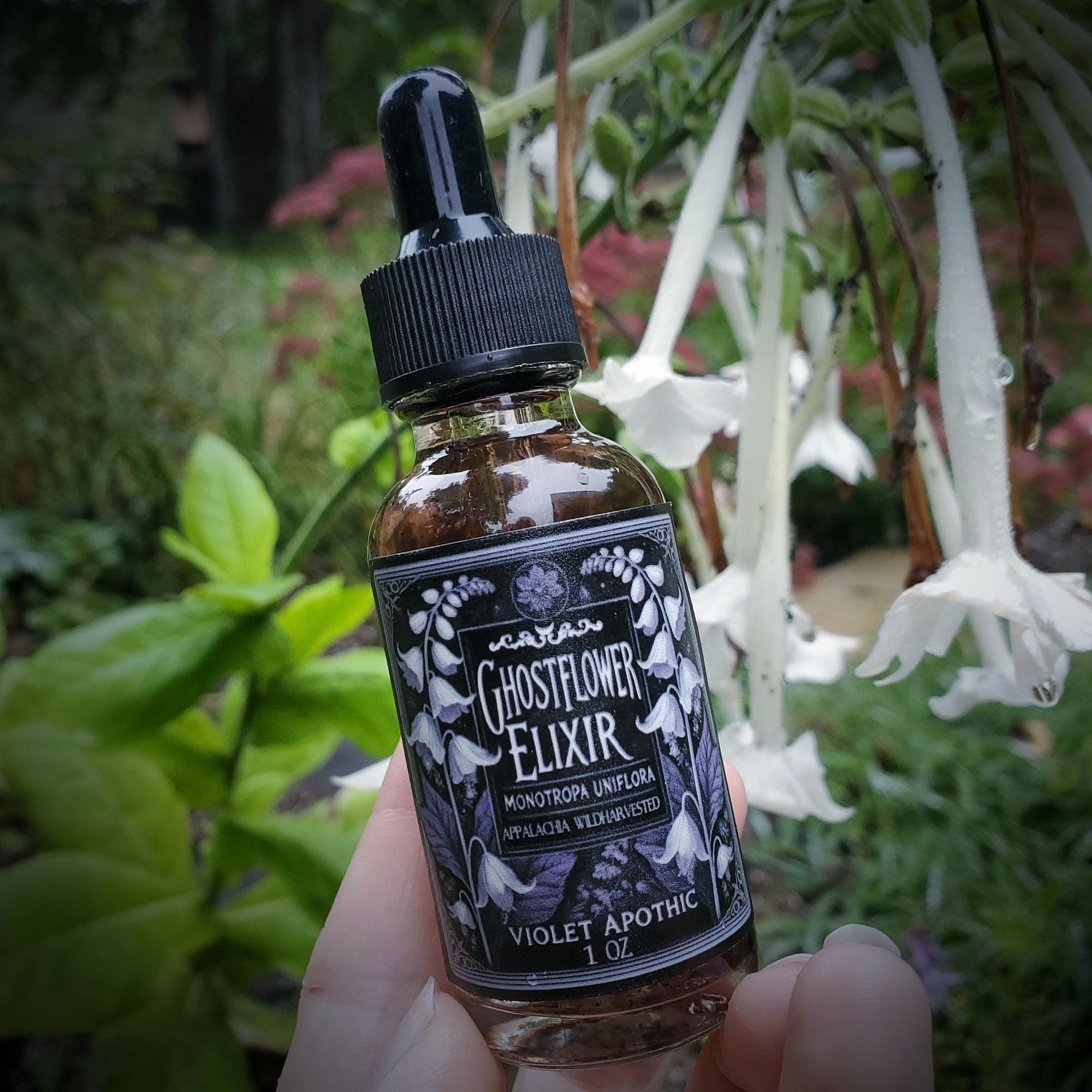 Ghostflower Elixir – Wildcrafted Ghost Pipe Tincture from the Blue Ridge Mountains | Ritual Use, Meditation & Forest Magic (1 oz)