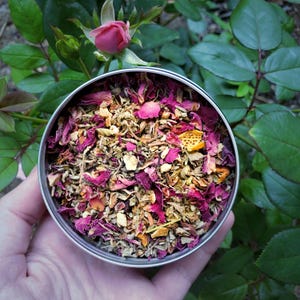 Aphrodisia Gebräu - Aphrodite-inspirierter Liebeszauber Tee mit Rose, Kakao und Vanille