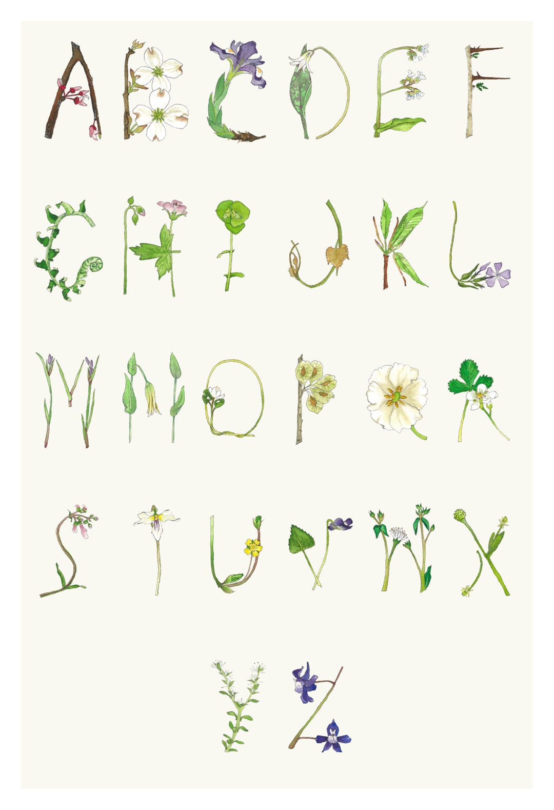 Spring Alphabet Watercolor ABC Print by Laura Poulette - Etsy
