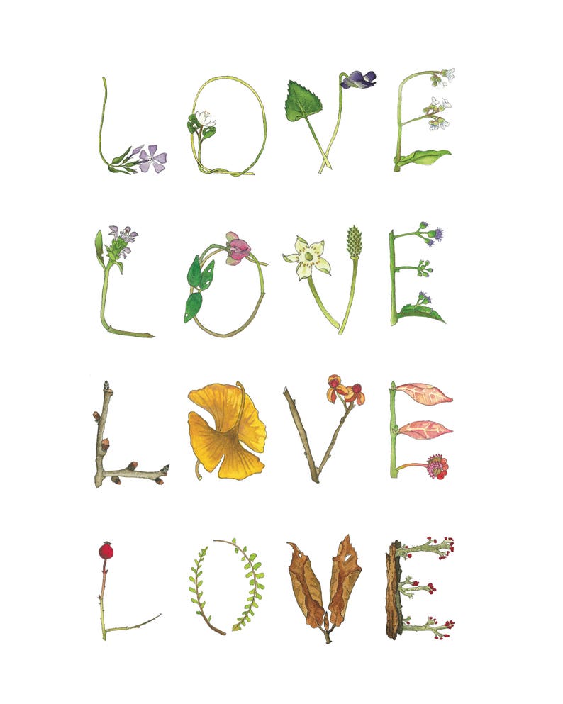 Four Seasons Love Watercolor Art Print by Laura Poulette image 1