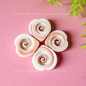 Puede incluir: Cuatro conchas marinas en forma de corazón con un patrón de espiral en tonos de rosa y blanco.