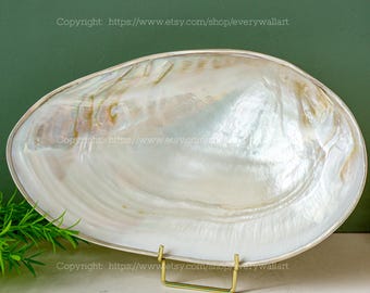 Real Seashell Dish Simple Silver Trim Dish Display Candy Dish Decorative Giant Shell Dish LARGE Dish Coastal Home Decor Jewelry Tray