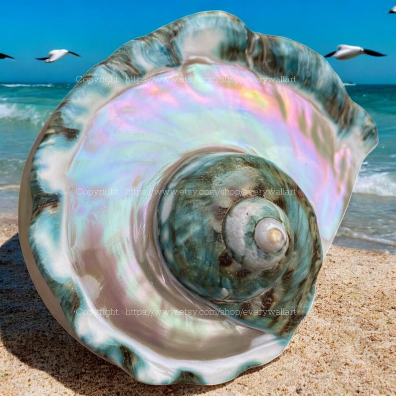 May include: A large, iridescent seashell with a green and blue interior. The shell is lying on a sandy beach with the ocean in the background.