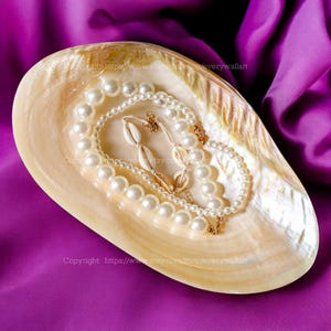 Natürliche Seashell Dish Sammler Display Perfekt für Candy Dish Schmuck Tablett Wohnkultur Dekorative Riesenmuschel Schale Echt Seashell Dish