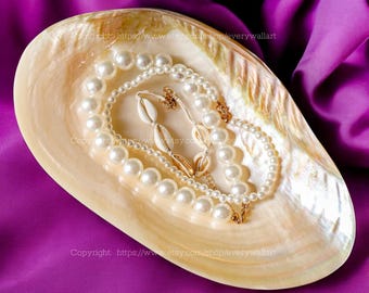 Natural Seashell Dish Collectible Display Perfect for Candy Dish Jewelry Tray Home Decor Decorative Giant Shell Dish Real Seashell Dish