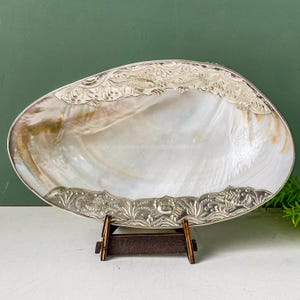 Natürliche Seashell Dish Fisch Silber Carving Dish Display Candy Teller Schmuck Tablett Dekorative Riesen Shell Dish LARGE Dish Küsten Home Decor