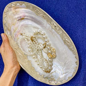 Seltene Muschel große Schale Fisch Silber Carving Trim Sammlerstück Display Perfekt für Candy Dish Schmuck Tablett Dekorative Riesenmuschel Fisch Gericht