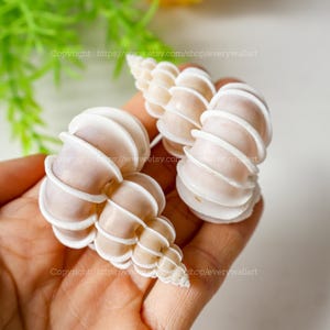 May include: Two white seashells with a spiral pattern. The shells are smooth and have a delicate, intricate design.