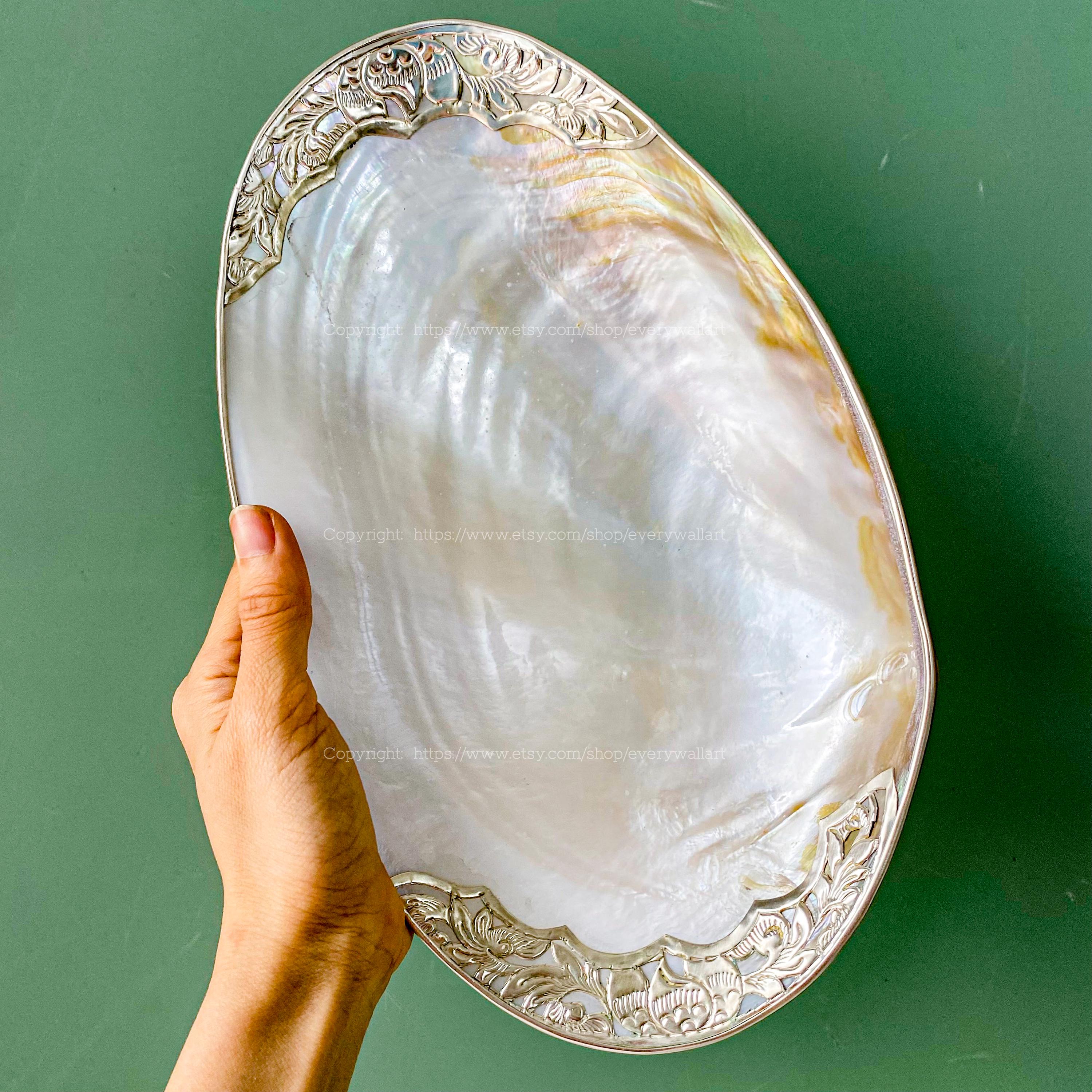 VIP Seashell Dish Emblem of Eternal Life & Prosperity Peach Silver Carving Dish Display Candy Dish Jewelry Tray Decorative Giant Shell Dish