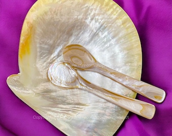 Set of Gold Lip Oyster Mother-of-Pearl Plate Seashell Plate Collectible Display Perfect for Serving Caviar Holding Soap Candy Home Decor