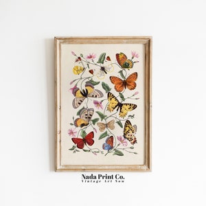 Butterflies and Pink Flowers Botanical Print | Nature Floral Art Print | Warm Vintage Wall Art | Printable Art | #0138