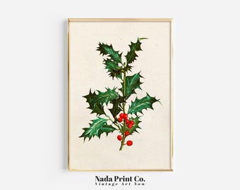 May include: A vintage botanical illustration of a holly sprig with green leaves and red berries. The illustration is framed in a gold frame and has the text "Nada Print Co. Vintage Art Now" at the bottom.