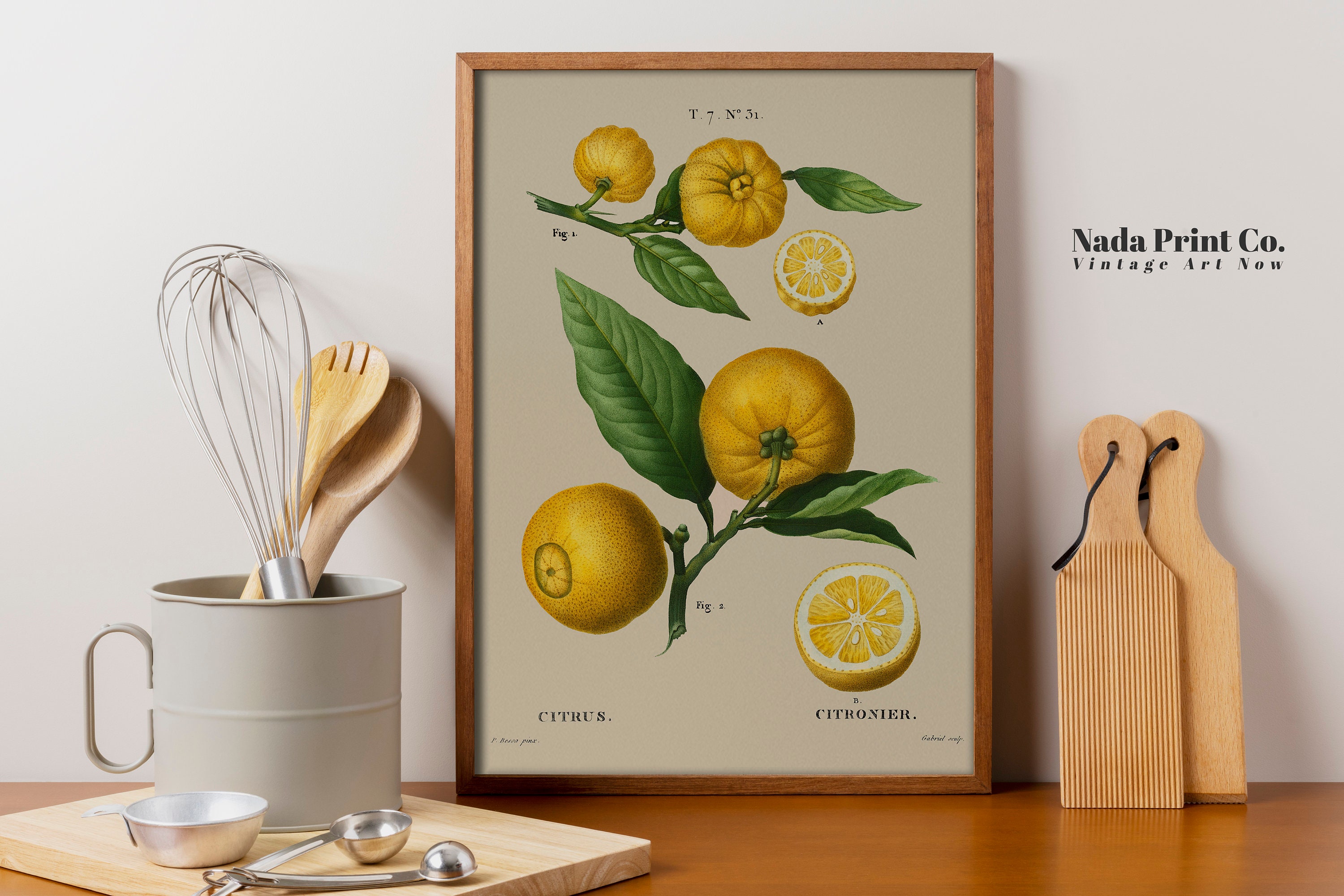 Lemon Botanical Print | Vintage Citrus Fruit Art Print | Warm Vintage ...