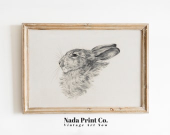 Rabbit Sketch Print | Vintage Animal Drawing | Neutral Vintage Nursery Wall Art | Printable Art | #0097