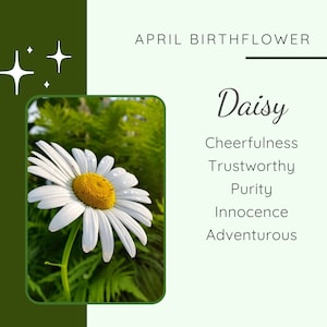 Handmade personalized birthday gift for April, daisy birthflower necklace, birth month dainty necklace for her, birth flower necklace image 2