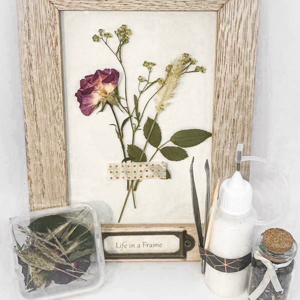 Pressed Flower Kit Etsy