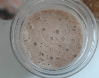 Organic Sourdough Starter - The MOTHER! Fresh Not Dehydrated