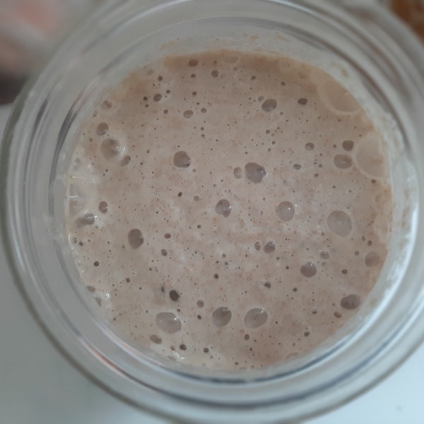 Organic Sourdough Starter - The MOTHER! Fresh Not Dehydrated