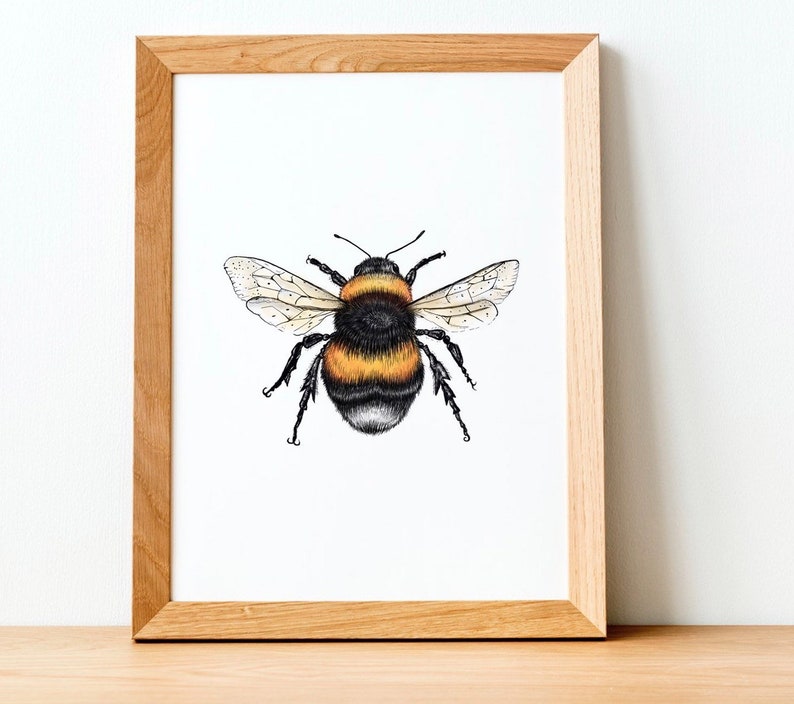 wildlife art gifts for her bee science illustration animal drawing Bumble Bee Print Artwork Painting animal print