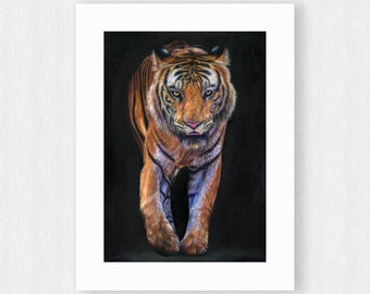 Limited edition giclée print - wildlife art - tiger - animal painting - Big cat art - colour pencil drawing - illustration - cat drawing