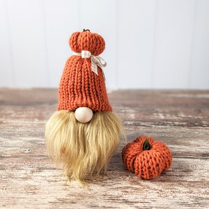 May include: A knitted gnome with a red and white hat and a brown beard. The gnome is holding a small knitted pumpkin in its hand.