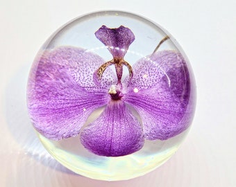May include: A clear glass sphere with a preserved purple orchid flower inside. The flower is in full bloom and has a delicate, intricate pattern.