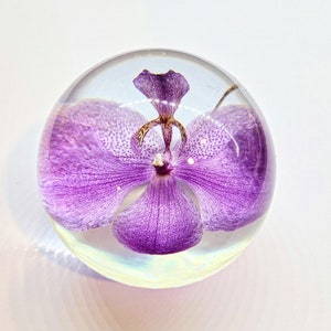 Orchid Paperweight,Personalized Gift,Best gift for her,best friend Gift,Anniversary Gift,Housewarming gift,Nature Gift,Real Orchid, Orchids