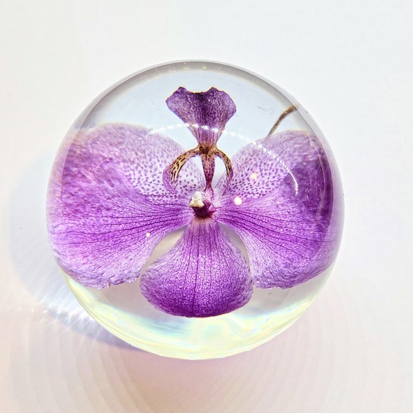 Orchid Paperweight,Personalized Gift,Best gift for her,best friend Gift,Anniversary Gift,Housewarming gift,Nature Gift,Real Orchid, Orchids