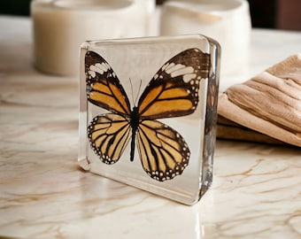 Valentine Gift,Gift for her,Best gift for her,best friend Gift,Monarch Butterfly Gift,Housewarming gift,Nature Gift,Butterfly Specimen