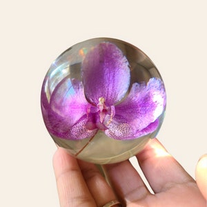 Presse-papiers orchidée, cadeau personnalisé, meilleur cadeau pour elle, cadeau meilleure amie, cadeau d'anniversaire, cadeau de pendaison de crémaillère, cadeau nature, vraie orchidée, orchidées image 3