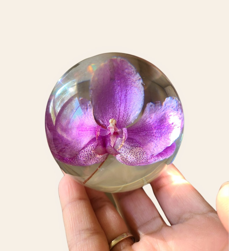 Presse-papiers orchidée, cadeau personnalisé, meilleur cadeau pour elle, cadeau meilleure amie, cadeau d'anniversaire, cadeau de pendaison de crémaillère, cadeau nature, vraie orchidée, orchidées image 3