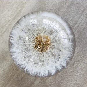 Dandelion, Dandelion Resin Paperweight,Housewarming Gift,New Home Gift,Christmas Gift,Christmas Gift for Home,Dandelion Art,Dandelion flower