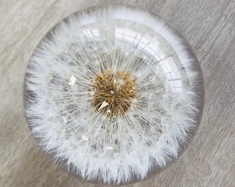 Dandelion, Dandelion Resin Paperweight,Housewarming Gift,New Home Gift,Christmas Gift,Christmas Gift for Home,Dandelion Art,Dandelion flower